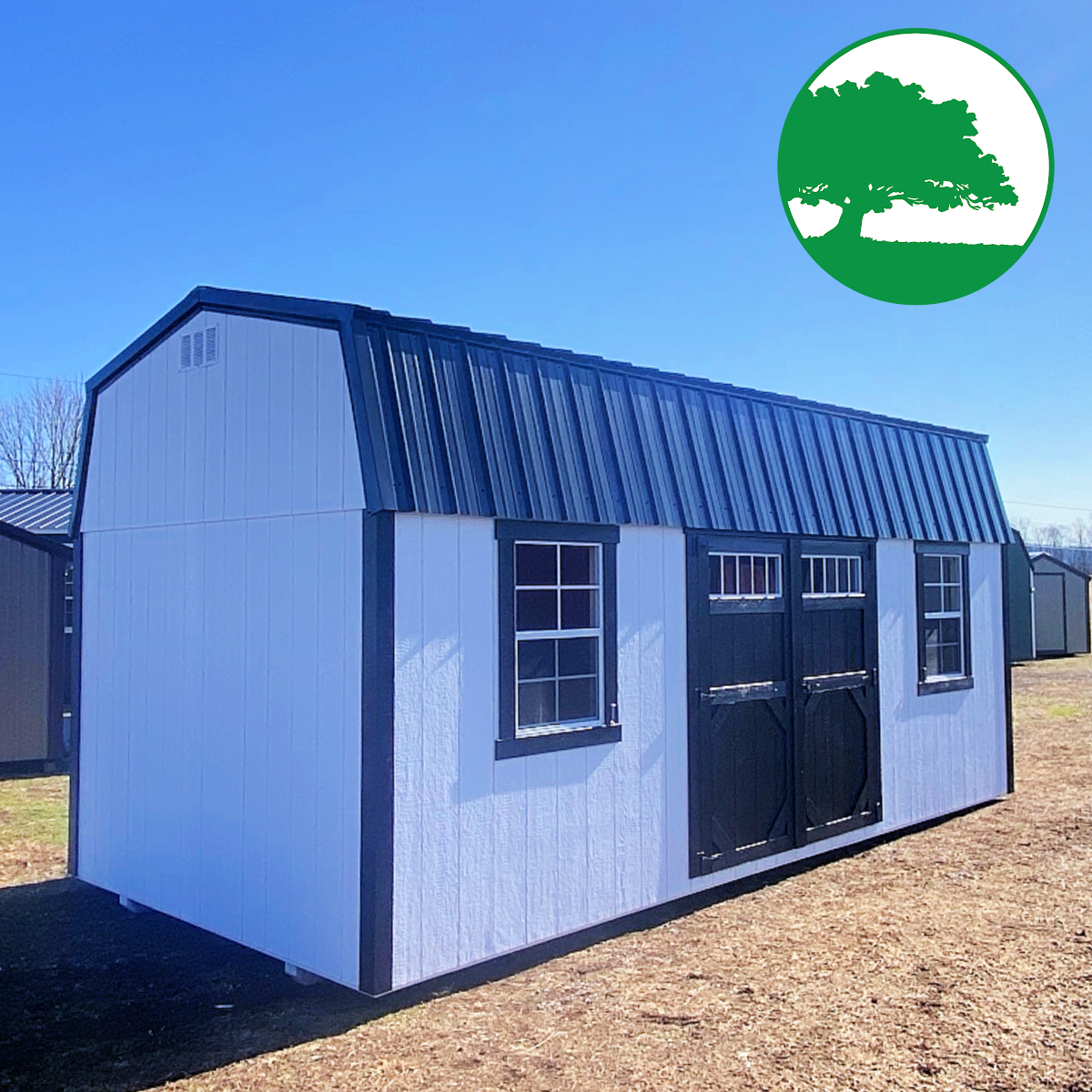 10' x 20' Painted "Side Lofted / Workshop"